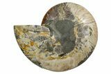 Cut & Polished Ammonite Fossil (Half) - Madagascar #347839-1